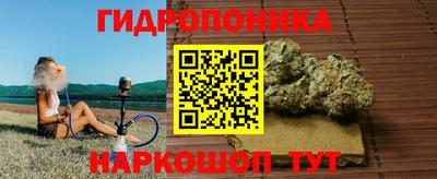 гашик Камышлов