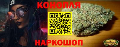 гашик Камышлов