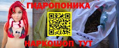 гашик Камышлов