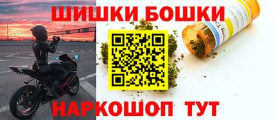 гашик Камышлов