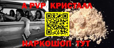 гашик Камышлов