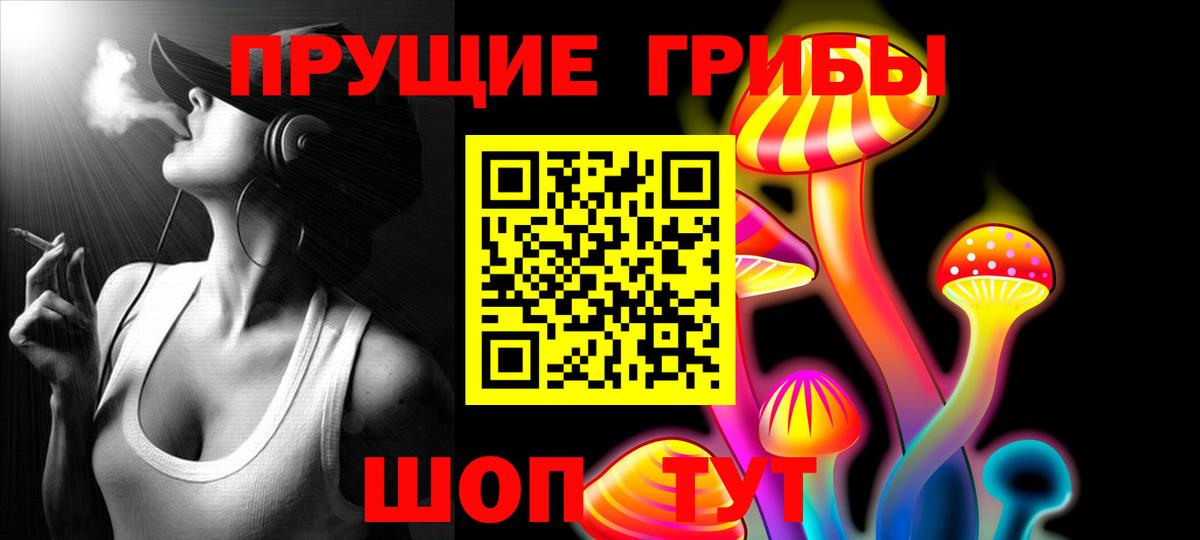 Красноуфимск  Псилоцибиновые грибы ЛСД  Вход с VPN  Галлюциногенные грибы Psilocybe 